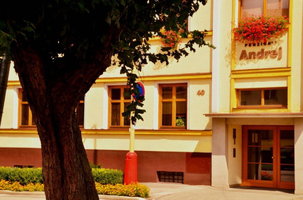 Penzion Andrej Ружомберок Екстер'єр фото
